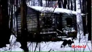 Владимир и Анна -  Ежики