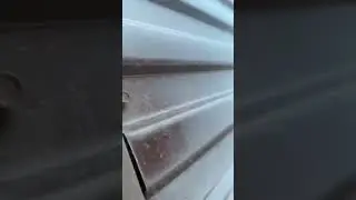 осторожно злая собака, прикол, ржака, собачка