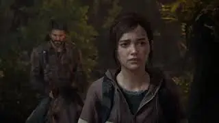"The Last of Us Part I" Max settings