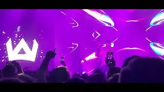 WuWunio - "Nieśmiertelna Nawijka Palhajsowa" - X-lecie Elliminati - LIVE 2023