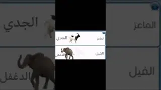 Magaca carabi ahaan loo yaqaan xayawaan kasta kiisa yar.🐐🐕🦓🐅🐪🦣🦬🦘🦡🐦🐓🐤🦆🦢🦤🕊🦅🦜🐙🦞🐄🐃🦓🦌✅️💯
