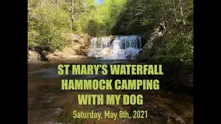 St Mary's Waterfall Hammock Camp With My Dog