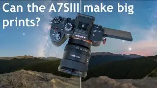 Sony A7SIII Print Comparison - Can 12MP make big prints?