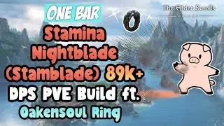 ESO One Bar Stamina Nightblade (Stamblade) 89k+ DPS PVE Build Ft. Oakensoul Ring High Isles DLC