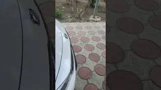 доброе сонное утро