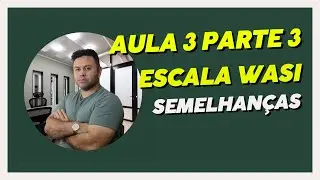 Aula 3 Parte 3 Subteste Semelhanças