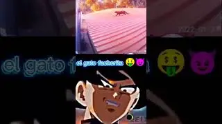 el gato truco 🤑
