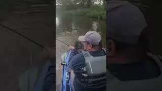 Kayak Fishing Smallmouth Bass on the FishLab Flutter Nymph! 