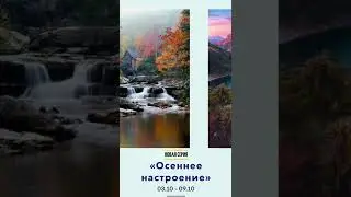 Серия «Осеннее настроение»