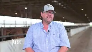 Unlocking the Benefits of QLF: Enhancing Cattle Performance at T&M Cattle Co