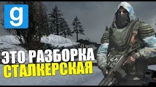 ЧИСТОЕ НЕБО ПРОТИВ БАНДИТОВ - ЗА КОГО ВОЕВАТЬ? GARRY'S MOD STALKER RP