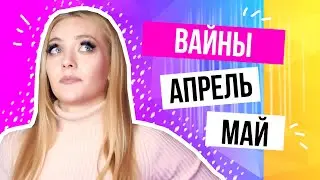 ВАЙНЫ 2020 - ПОДБОРКА ЗА АПРЕЛЬ И МАЙ @lenkaanch