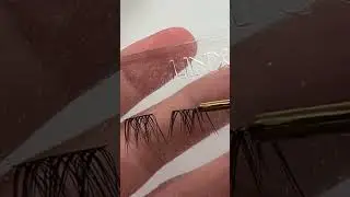 At Home Lashes - ASMR - LINX