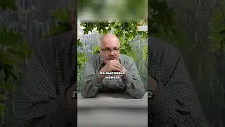 Почему Россия – страна первого мира?