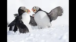 Varanger 2023