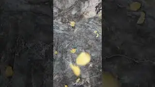 Плитка для вашей кухни 😊