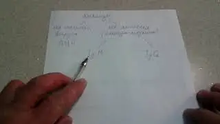 246. COVID-19.Анализ на антитела.