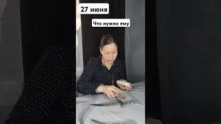 Что нужно ему 