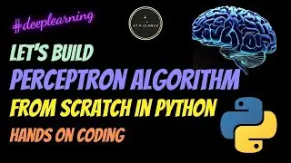 Perceptron Algorithm in Python from scratch | At A Glance! | Full Code | Deep Learning Course | 