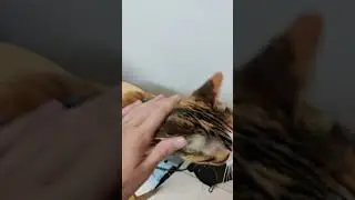 kesem