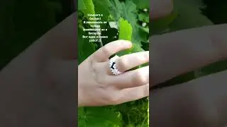 бисер 