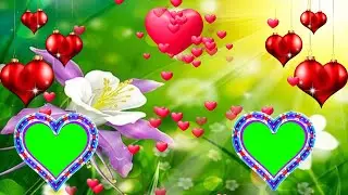 love green screen video effects | wedding green screen video frame | green screen video