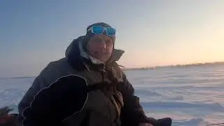 Откуда берется рыба