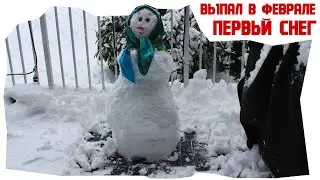 А у нас выпал первый снег