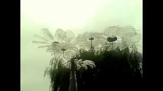 Vertical Axis Wind Turbine