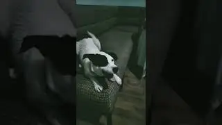 🤣🤣🤣🤣привет Я toka lay