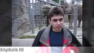 YouTubeda Yayinlanan İlk Video