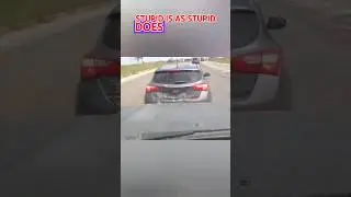 Road Raging Brake-Checker Gets Taught A Lesson
