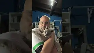 Mapache te amo