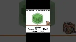 факт 5