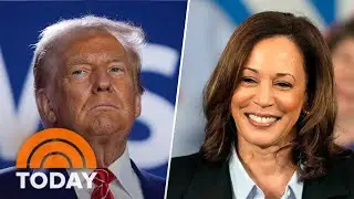 Trump dismisses national polls showing Harris outperforming him