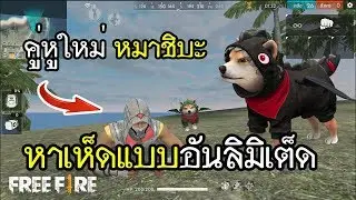 Free Fire คู่หูใหม่ หมาชิบะ หาเห็ดแบบอันลิมิเต็ด