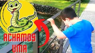 ACHAMOS UMA COBRA 🐍 NO LAGO DE GARDA - ITÁLIA