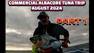 Albacore Tuna Commercial Trolling 2024 PART ONE 4K