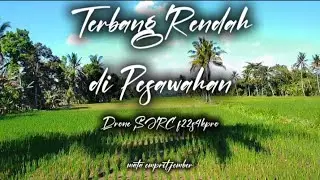 TERBANG RENDAH DI PESAWAHAN | Drone SJRC f22s4kpro
