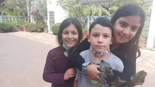 כיתה ג באשכול הפיס