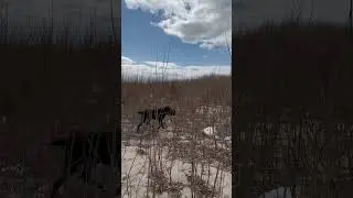 Красотка моя😅