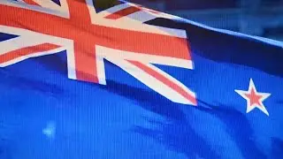 THE SHANE JONES FINGER - WILDCARDS(AOTEAROA)