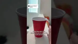 Revenge cat mode