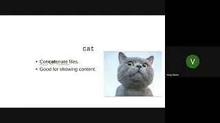 Linux Series | Lecture 5 (Quoting and Variables)