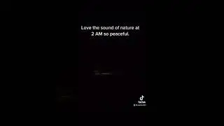 Nature sounds in York Maine @2AM