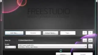Lesson 21:(DVD & Video) Free Video to MP3
