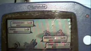 Gresley's emerald adventure PART 14 TRAINING