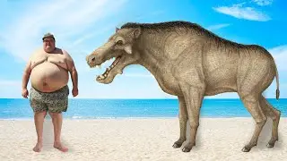 Вот это свинья! Огромный хищный кабан древности