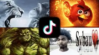 Finding The Origins of TikTok Stickers