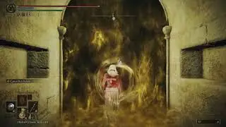 Elden Ring Shadow of the Erdtree - Blackgaol Knight (Parry Only)